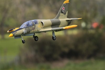 Alastair's Albatross, 0T8A1334 (2).JPG