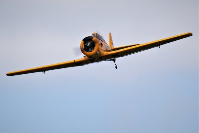 Bruce's Harvard, 0T8A1351.JPG