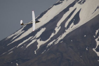 Bill's glider, 0T8A3119.JPG