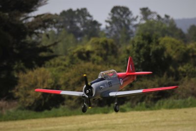 Tony W's Zenoah powered, RNZAF liveried Harvard landing, 0T8A2691.JPG