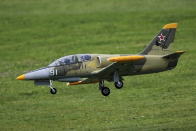 Alastair's EDF L-39, 0T8A3405 (2).JPG