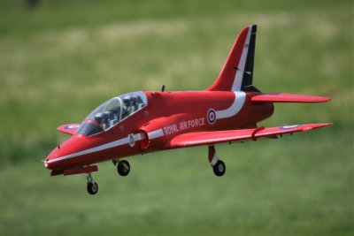 Allen L's Hawk, 0T8A3987 (2).JPG