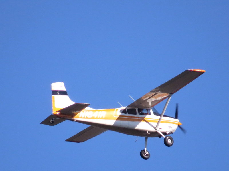 Cessna 185