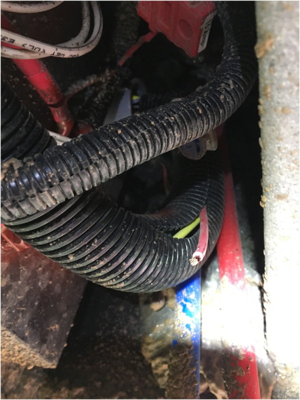 Motorhome charge line - found stubbed in wire loom