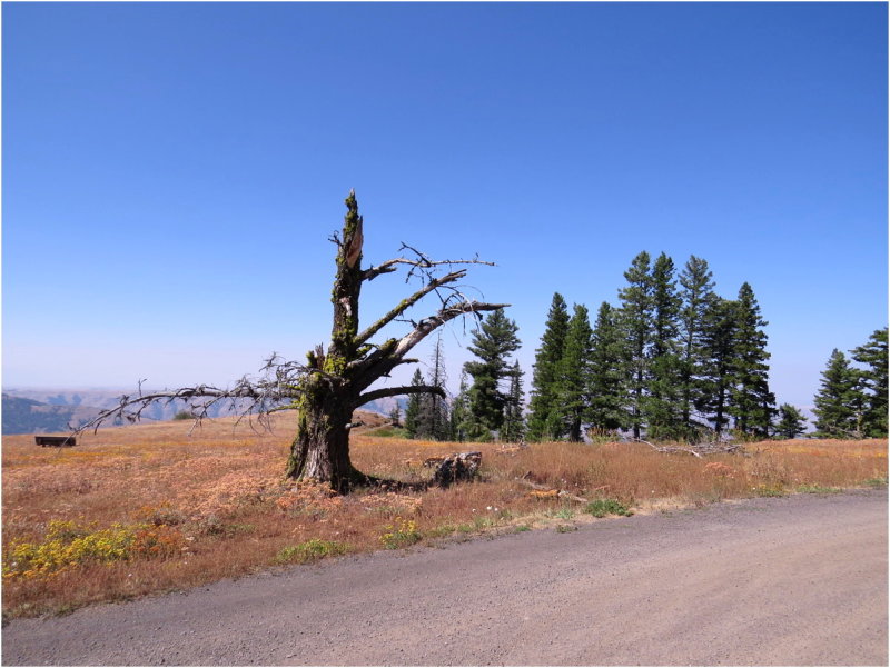 Wallowa Mountains - The Little Alps