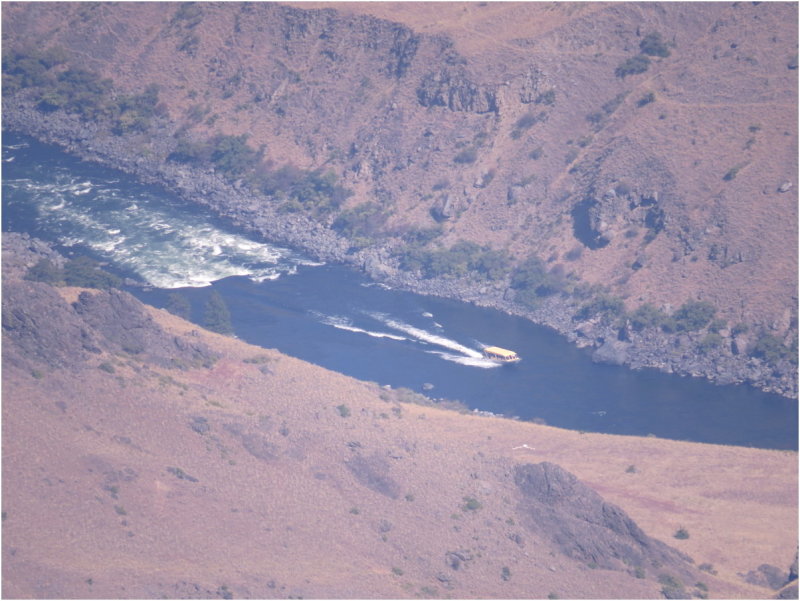 Jet boat on the Snake