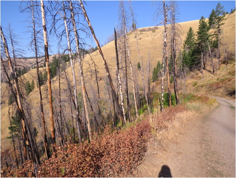 Wallowa Mountains