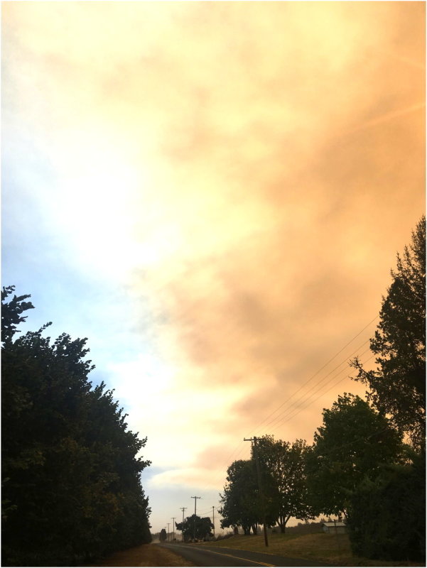 OrangeDays-10.jpg