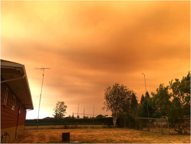 OrangeDays-13.jpg