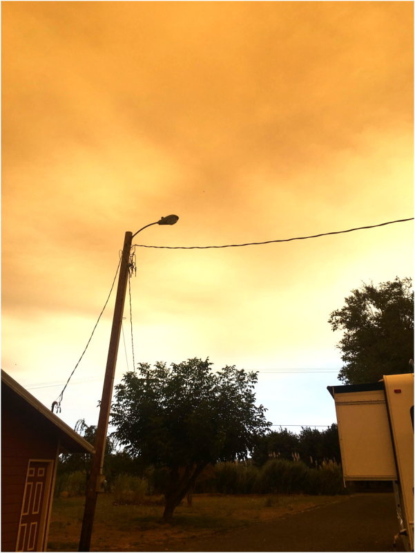 OrangeDays-16.jpg
