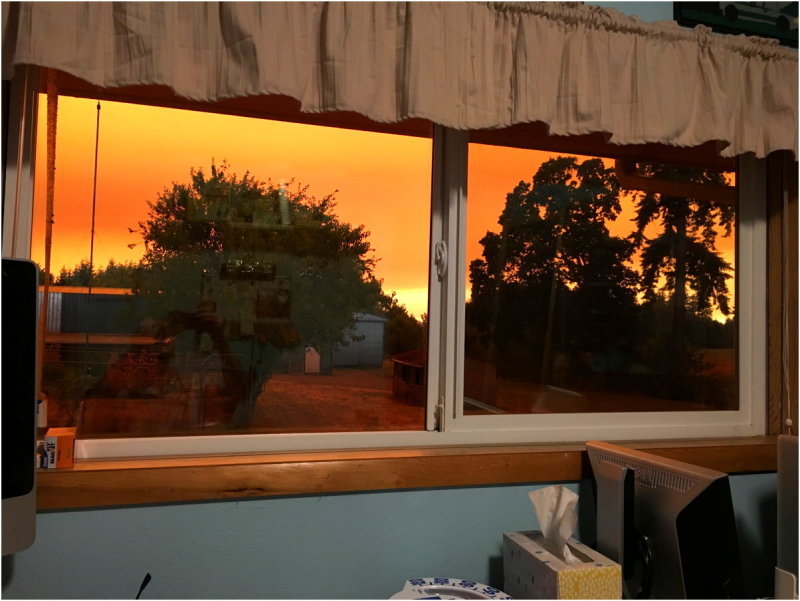 OrangeDays-25.jpg