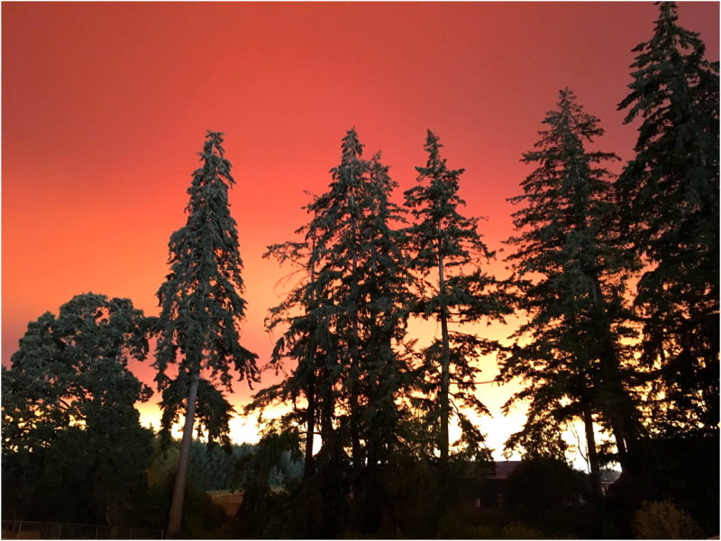 OrangeDays-26.jpg