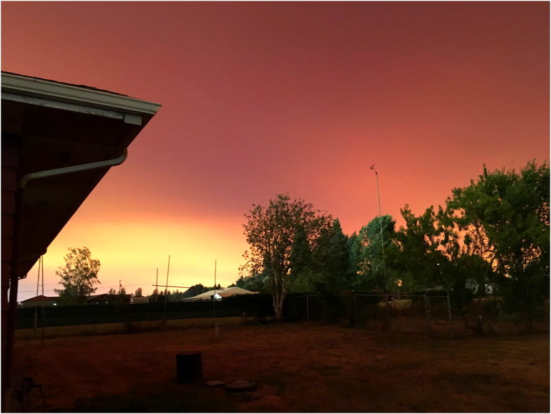 OrangeDays-29.jpg