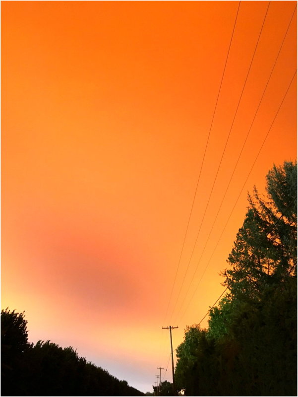 OrangeDays-37.jpg