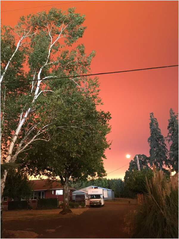OrangeDays-42.jpg