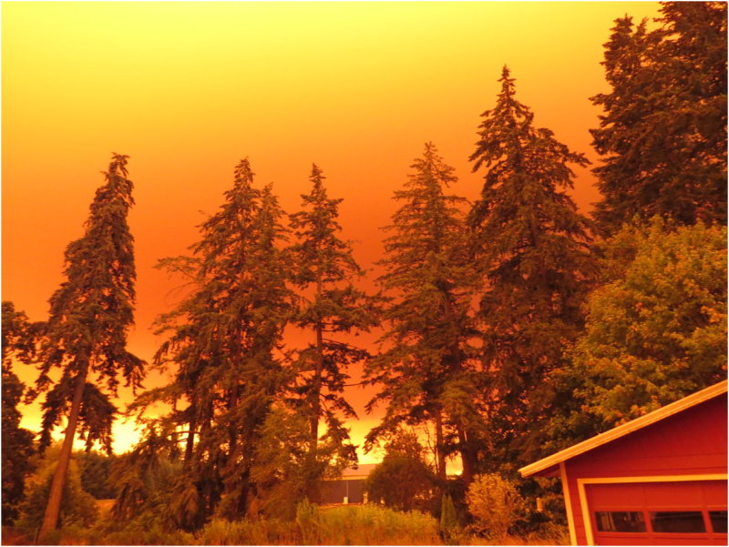 OrangeDays-46.jpg