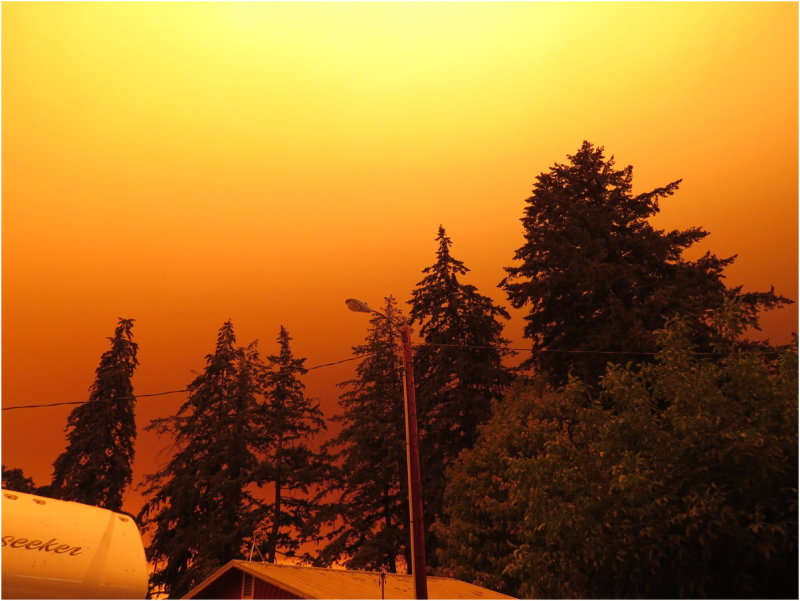 OrangeDays-54.jpg