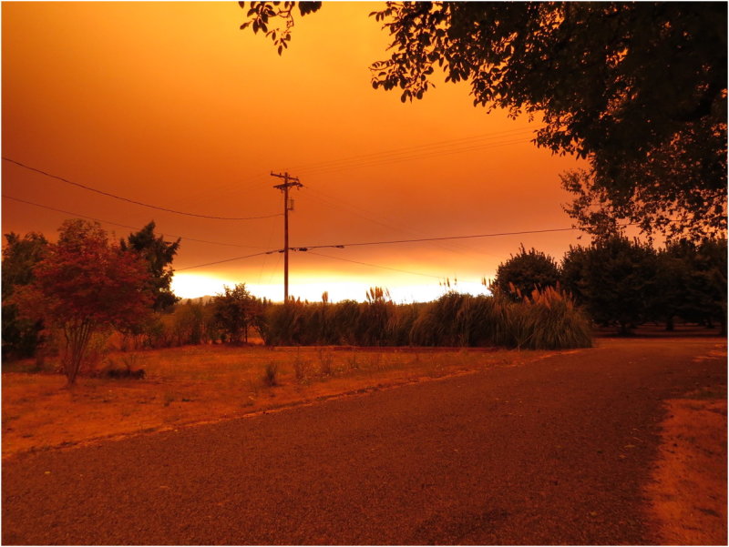OrangeDays-55.jpg