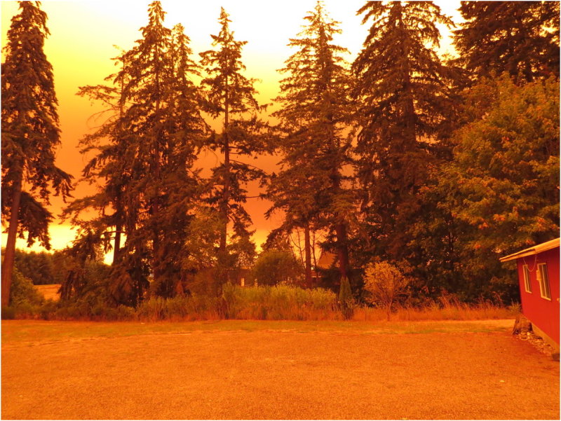 OrangeDays-57.jpg
