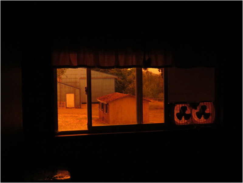 OrangeDays-60.jpg