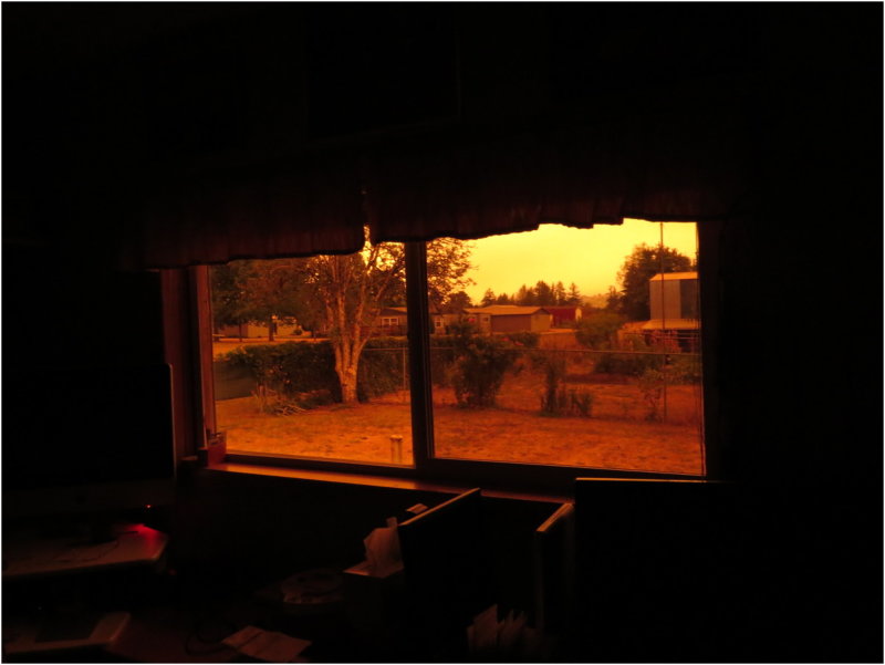 OrangeDays-61.jpg
