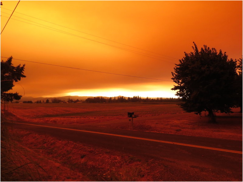 OrangeDays-66.jpg
