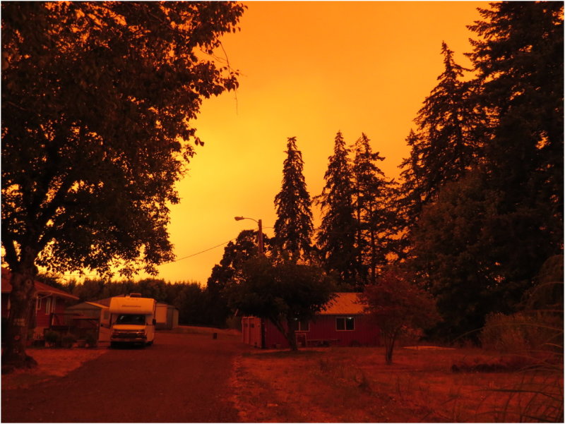 OrangeDays-67.jpg