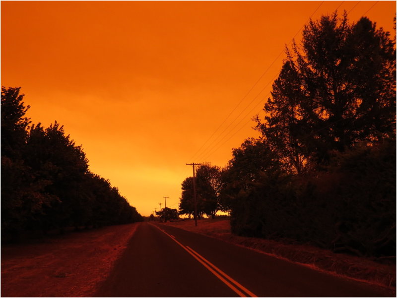 OrangeDays-69.jpg