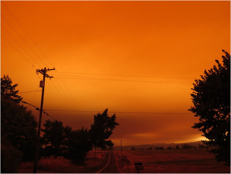 OrangeDays-71.jpg