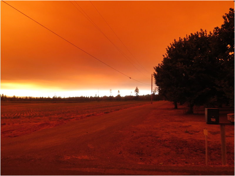 OrangeDays-74.jpg