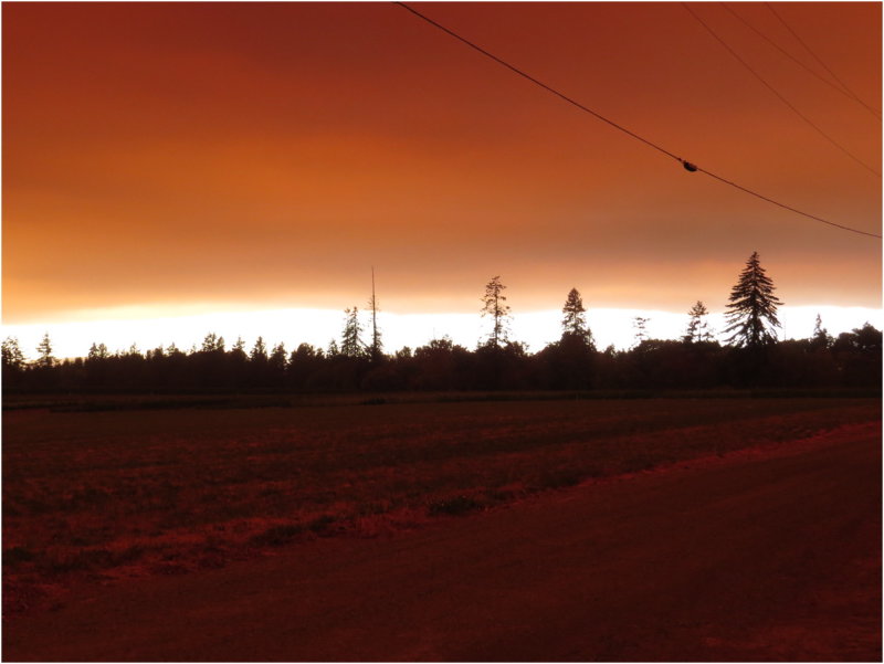 OrangeDays-75.jpg