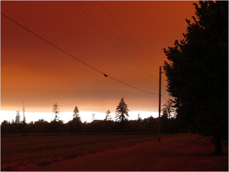 OrangeDays-76.jpg