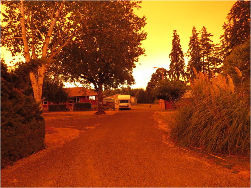 OrangeDays-81.jpg