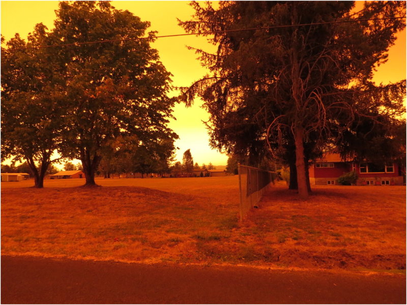 OrangeDays-82.jpg