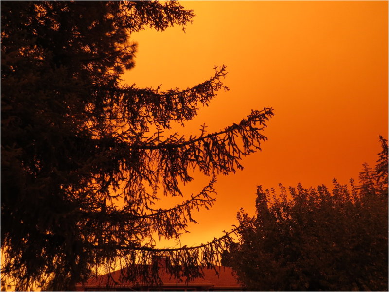 OrangeDays-83.jpg