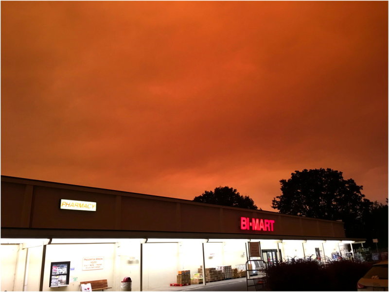 OrangeDays-87.jpg
