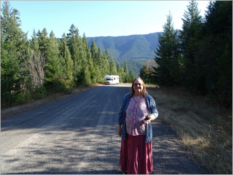 Third Cache - the lovely N found it!
