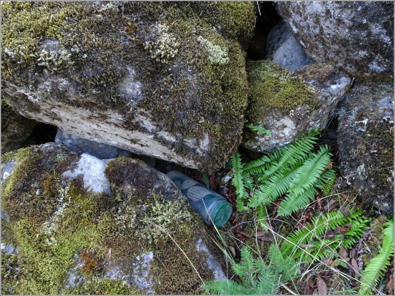 Third cache