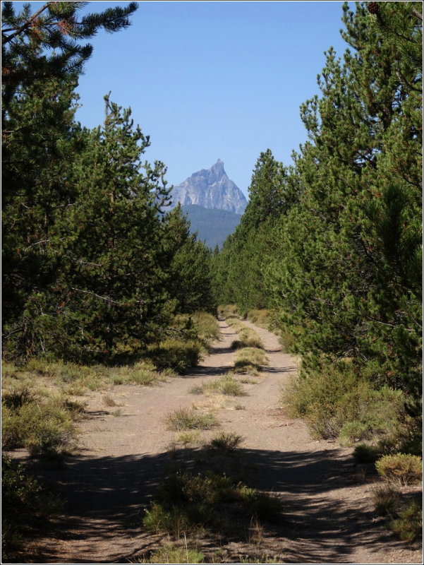 Nice view of Mt. Thielson