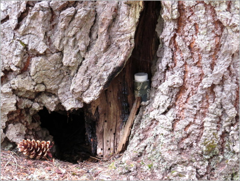 I found the cache... took a pic, then showed N were it was...