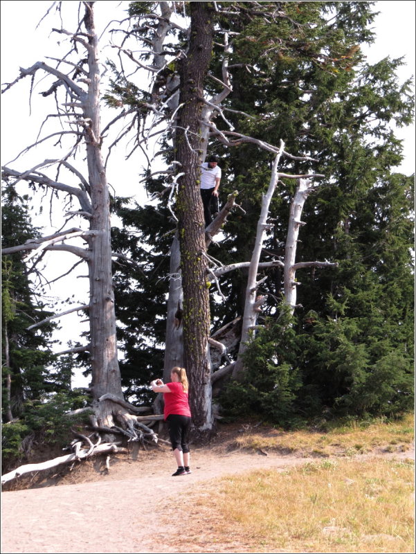 Look UP in the tree - there were kids too, look for a face in the tree to the right