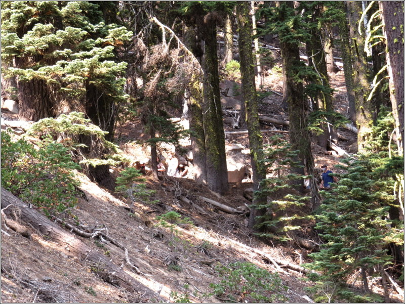 Hikers in the trail above