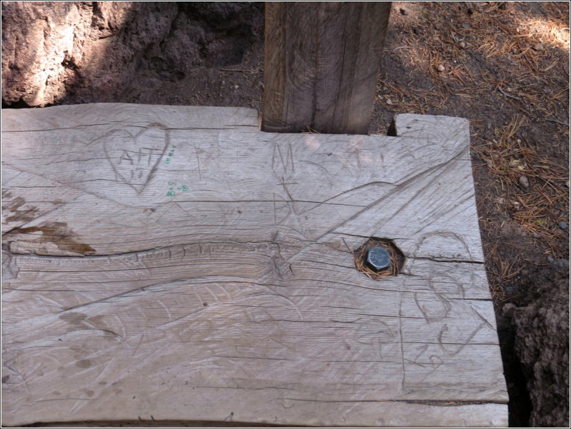 Carvings in the bench