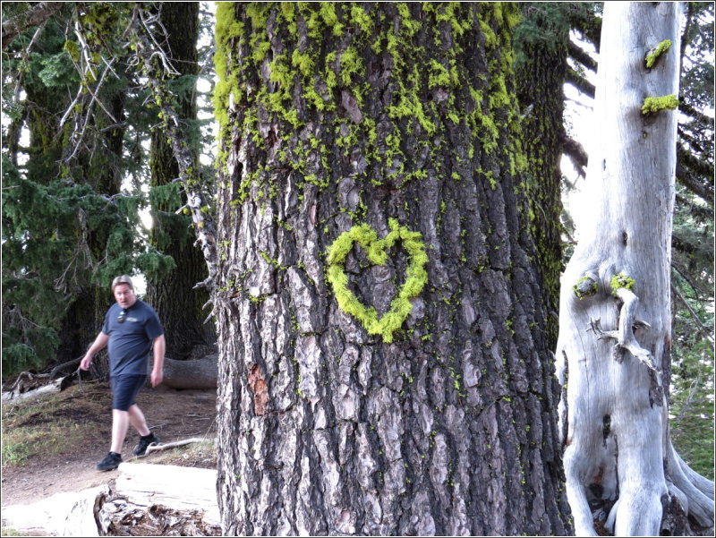 I found this heart in the tree; I had the couple stand under it, and I took their photo with their camera