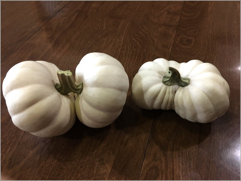 Special Gourds