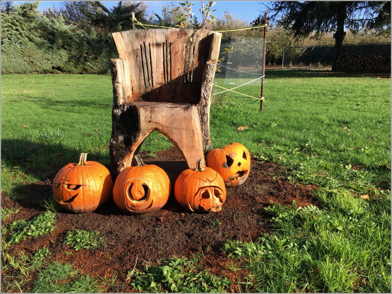 Chair & pumpkins