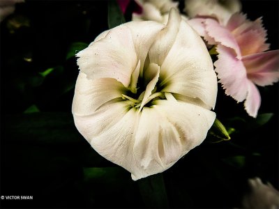 g12/89/1165089/3/173008671.hXilU3Xb.jpg