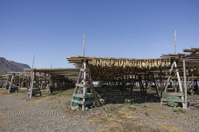 Stockfish