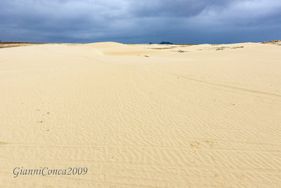 Viana desert