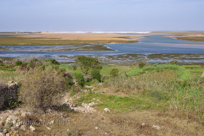 g12/89/1384389/3/169970875.0HJgeeOg.jpg